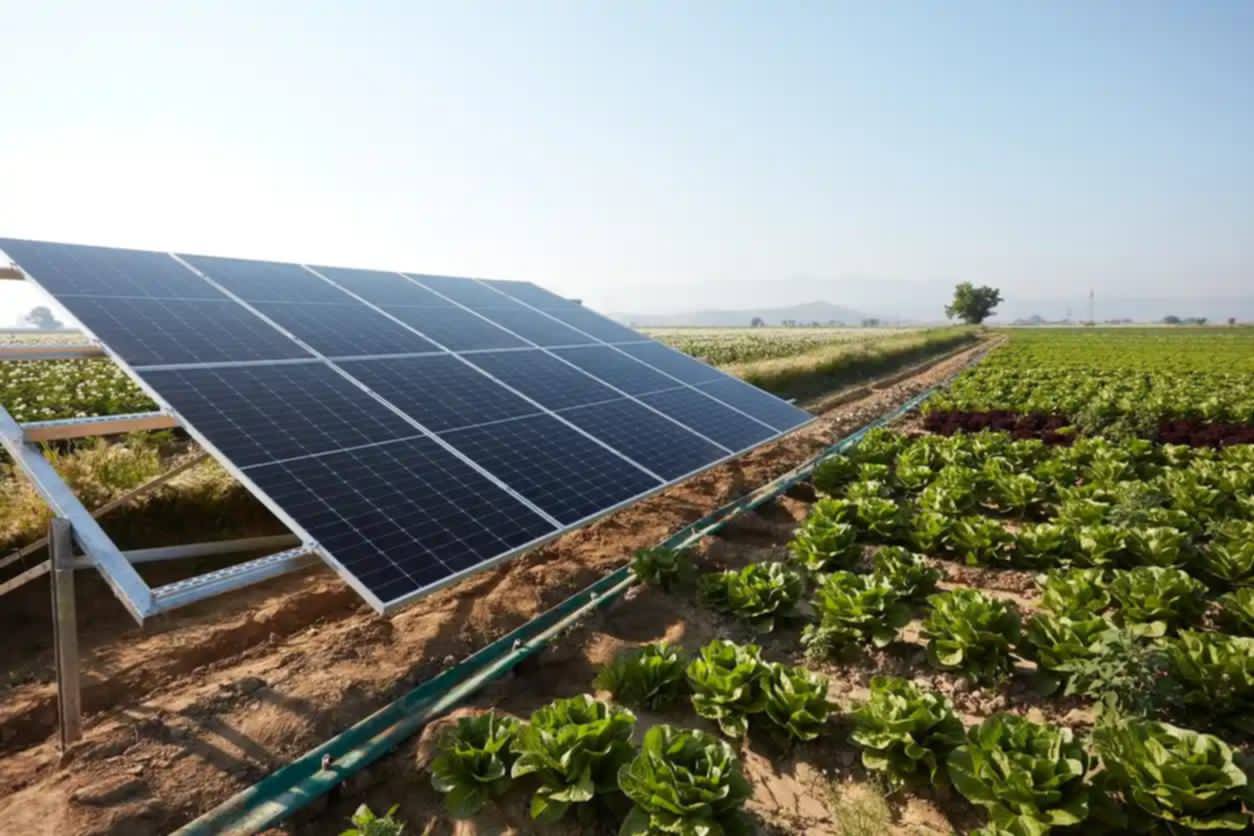 Serviço de energia solar Rural